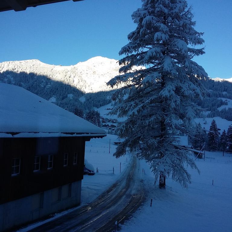 Bunderbach Villa Adelboden Exteriör bild