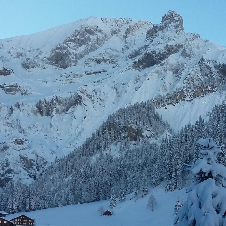 Bunderbach Villa Adelboden Exteriör bild