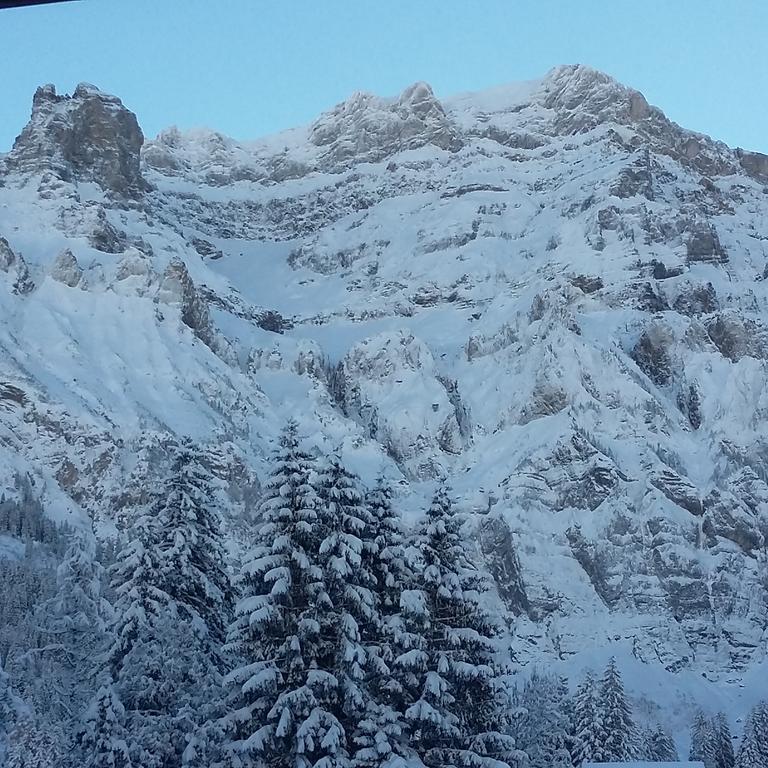 Bunderbach Villa Adelboden Exteriör bild